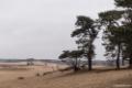 2018-03-11 Loonse en Drunense Duinen